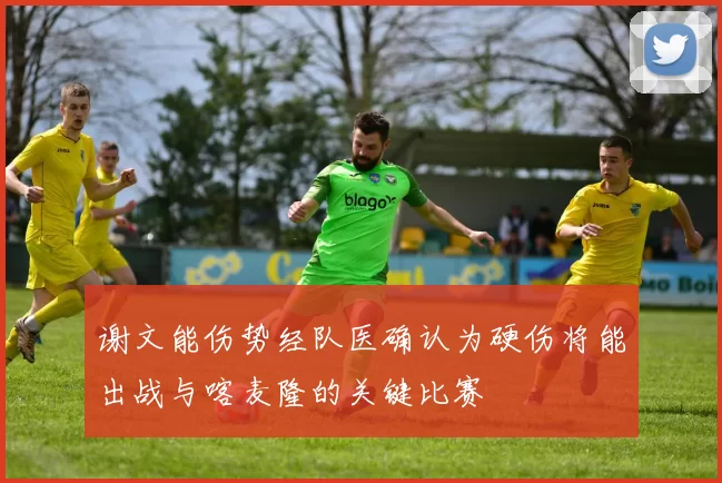 谢文能伤势经队医确认为硬伤将能出战与喀麦隆的关键比赛