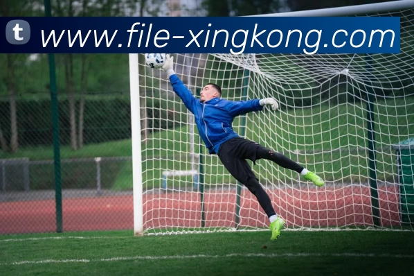 星空体育平台生态图