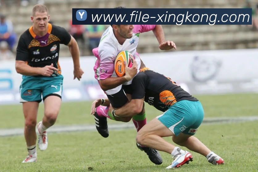 星空体育APP 封面图